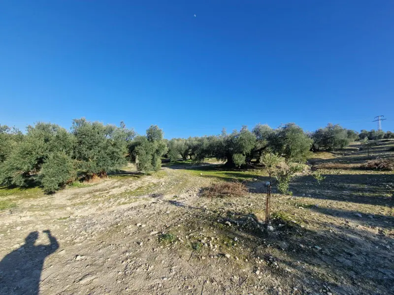 Загородный дом en Desconocido, Costa Blanca — фото 12 из 15