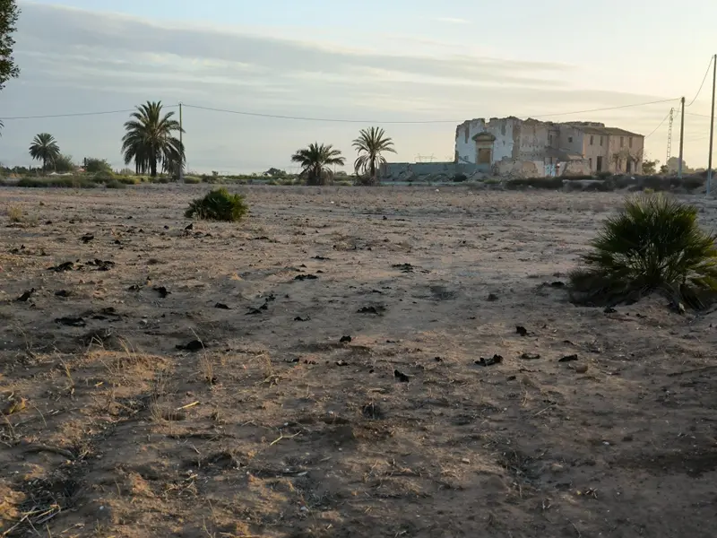 Landhaus in San Fulgencio, Costa Blanca — Foto 2 von 30