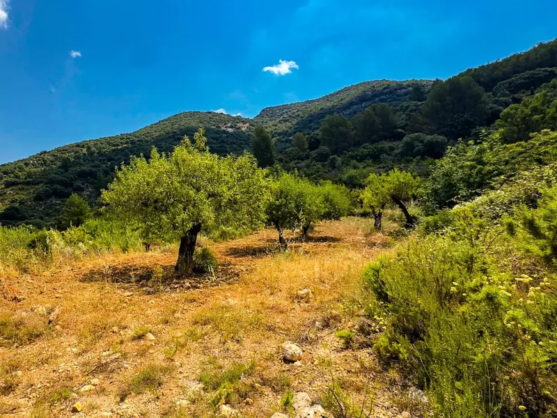 أرض en Desconocido, Costa Blanca — صورة 22 من 30