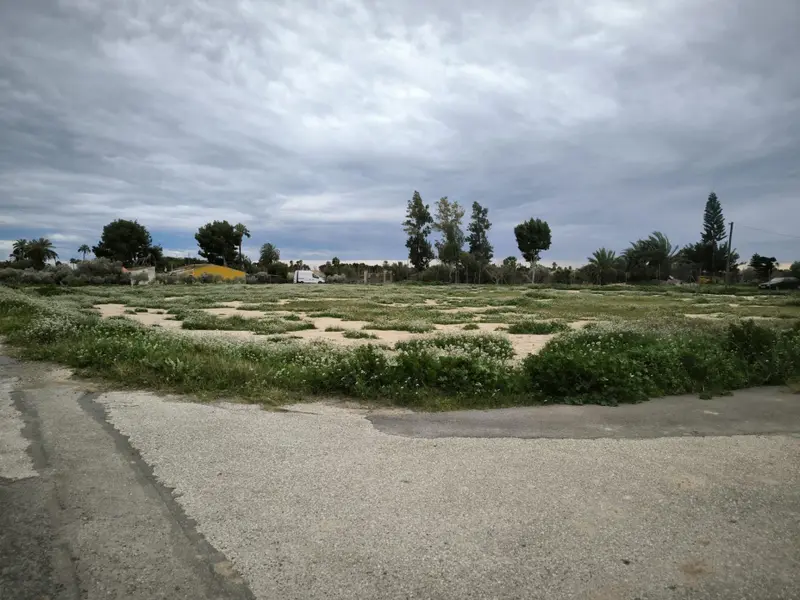 Maison de campagne à Elche, Costa Blanca — photo 13 sur 19