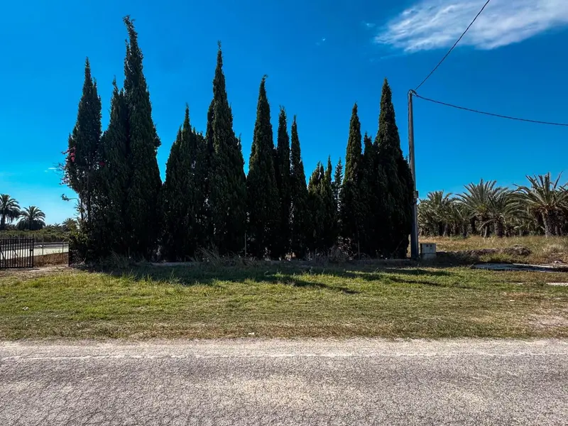 Casa de campo en Crevillent, Costa Blanca — foto 13 de 30