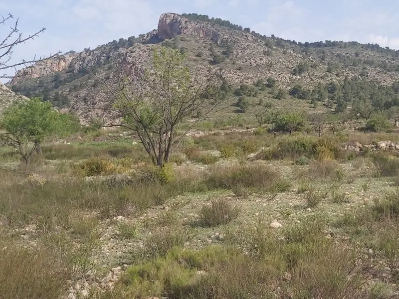 Terreno en Desconocido, Costa Blanca — foto 7 de 11