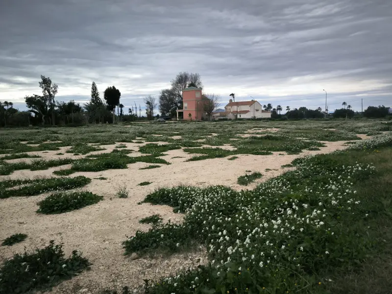 Maison de campagne à Elche, Costa Blanca — photo 3 sur 19