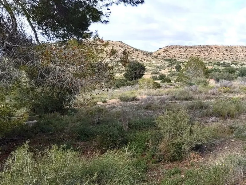 Casa de campo en Elche, Costa Blanca — foto 5 de 8