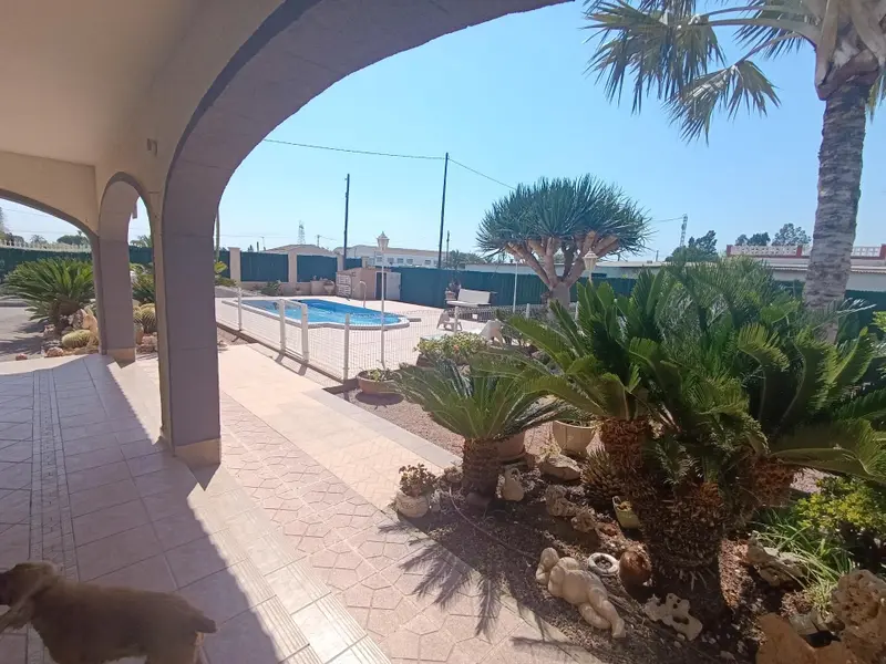 فيلا de 7 dormitorios en Elche, Costa Blanca — صورة 11 من 30