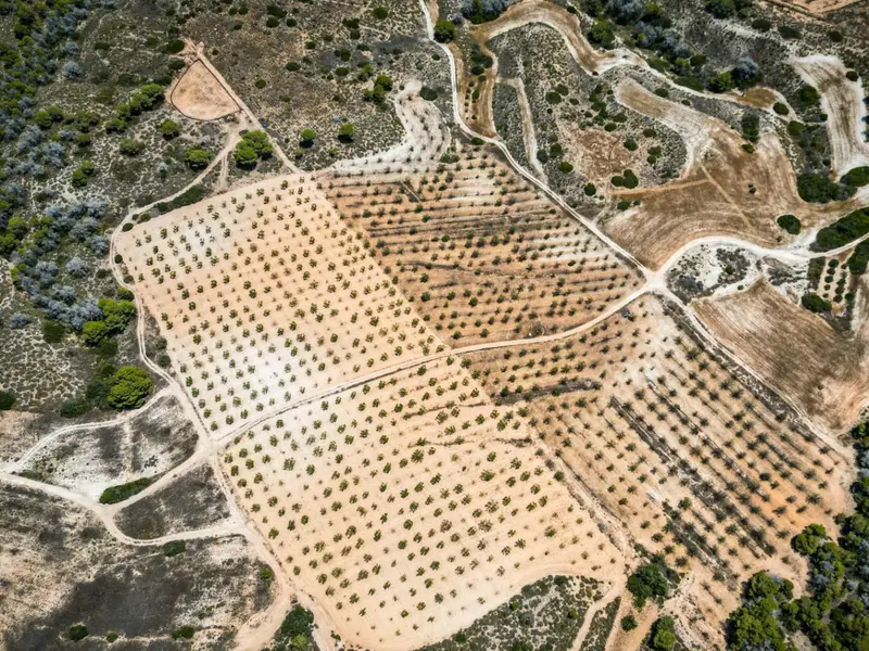 Maison de campagne à Desconocido, Costa Blanca — photo 5 sur 6