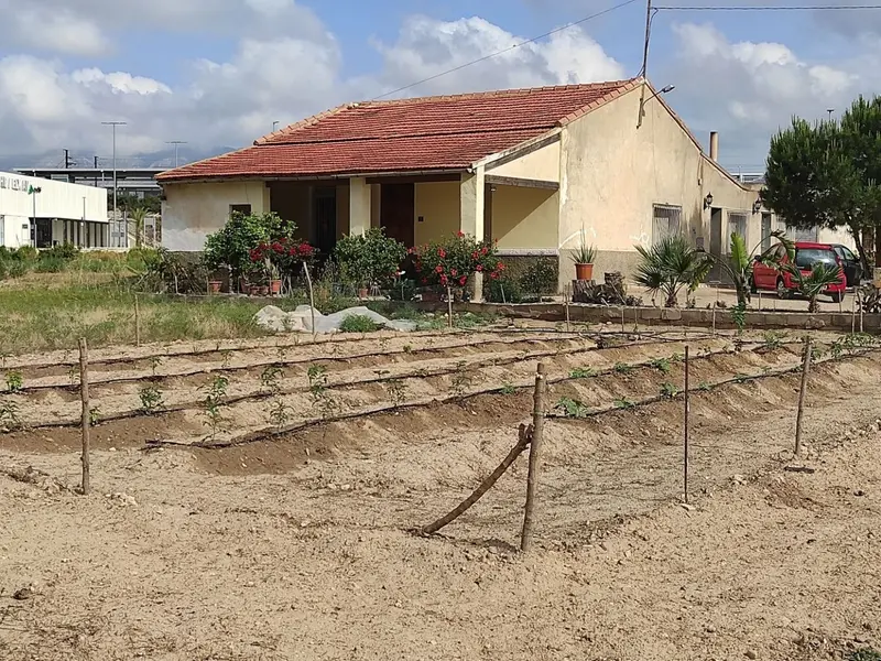 Maison de campagne à Elche, Costa Blanca — photo 8 sur 22