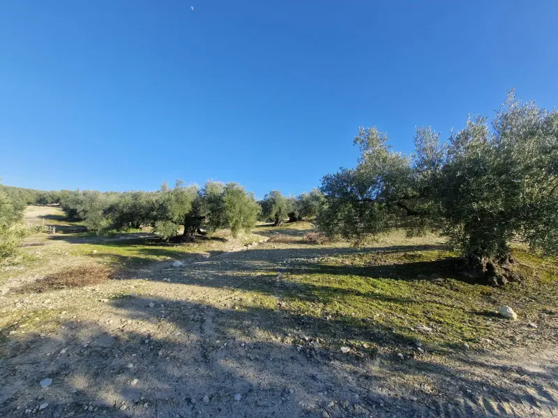 Загородный дом en Desconocido, Costa Blanca — фото 2 из 15