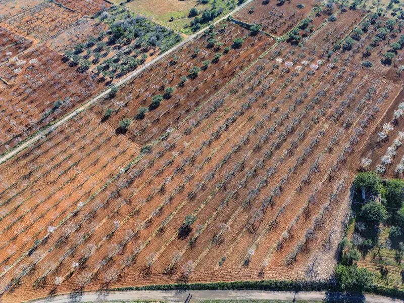 Участок en Desconocido, Costa Blanca — фото 10 из 16