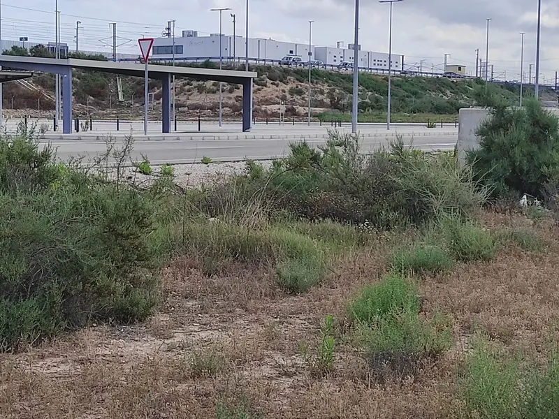 Maison de campagne à Elche, Costa Blanca — photo 18 sur 22