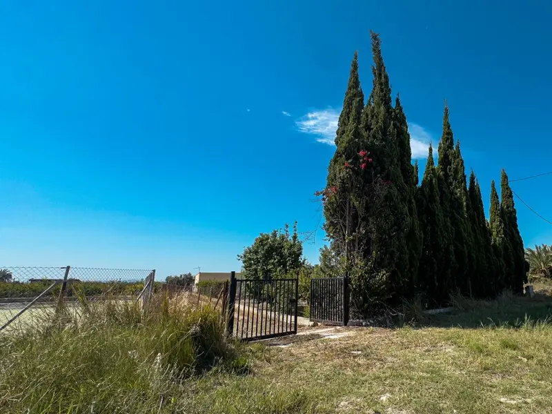 Casa de campo en Crevillent, Costa Blanca — foto 14 de 30