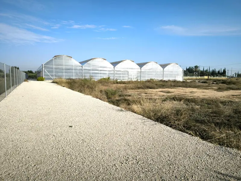 Landhuis in Elche, Costa Blanca — foto 19 van 30