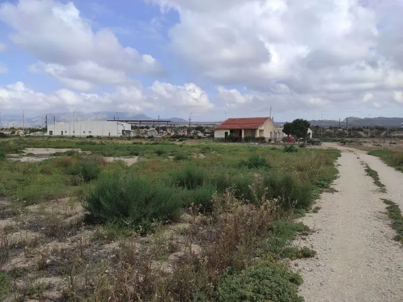 Maison de campagne à Elche, Costa Blanca — photo 5 sur 22