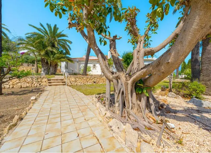 Villa de 9 dormitorios en Benissa, Costa Blanca — foto 26 de 27