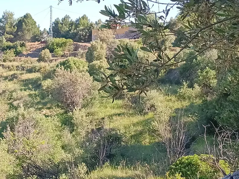 Casa de campo en Desconocido, Costa Blanca — foto 2 de 15