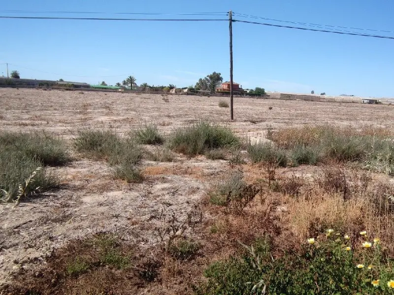 Terreno en Elche, Costa Blanca