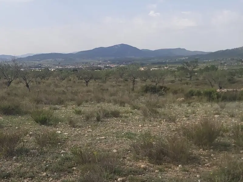 Terreno en Desconocido, Costa Blanca