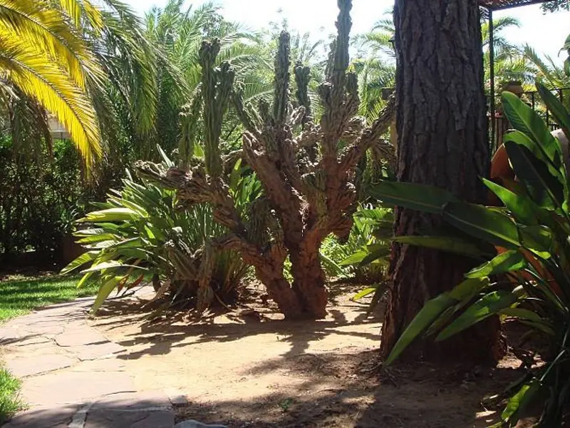 Villa de 5 dormitorios en Jávea, Costa Blanca — foto 27 de 30