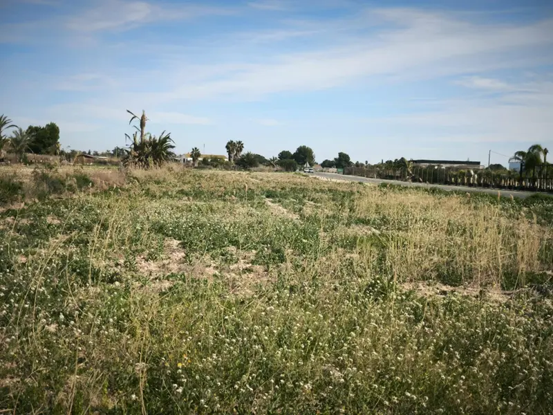 Заміський будинок у Elche, Коста-Бланка — фото 10 з 19