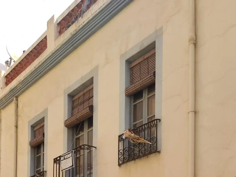 Local comercial de 6 dormitorios en Benidorm, Costa Blanca — foto 3 de 13