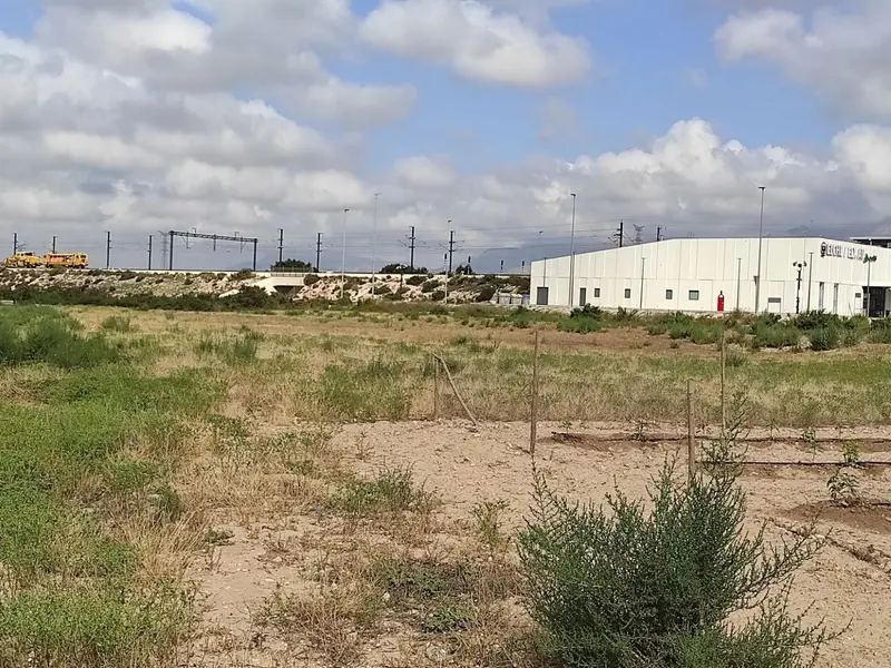 Maison de campagne à Elche, Costa Blanca — photo 3 sur 22