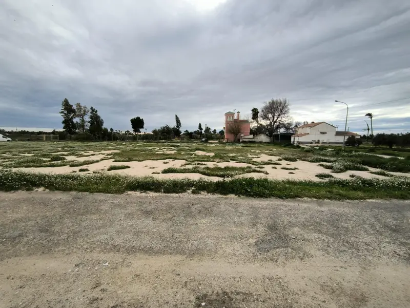 Maison de campagne à Elche, Costa Blanca — photo 8 sur 19