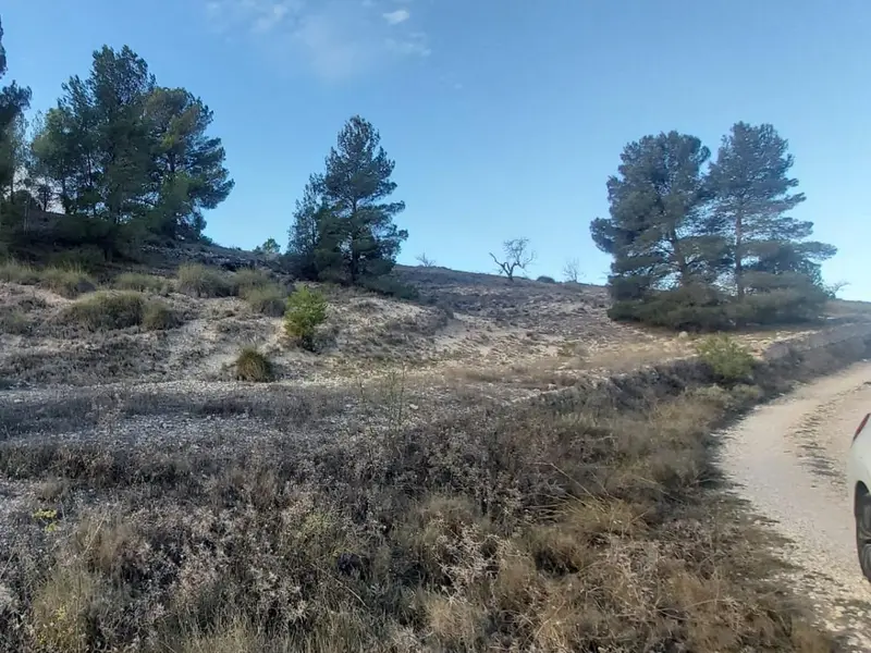 Landhaus in Monóvar, Costa Blanca — Foto 11 von 29