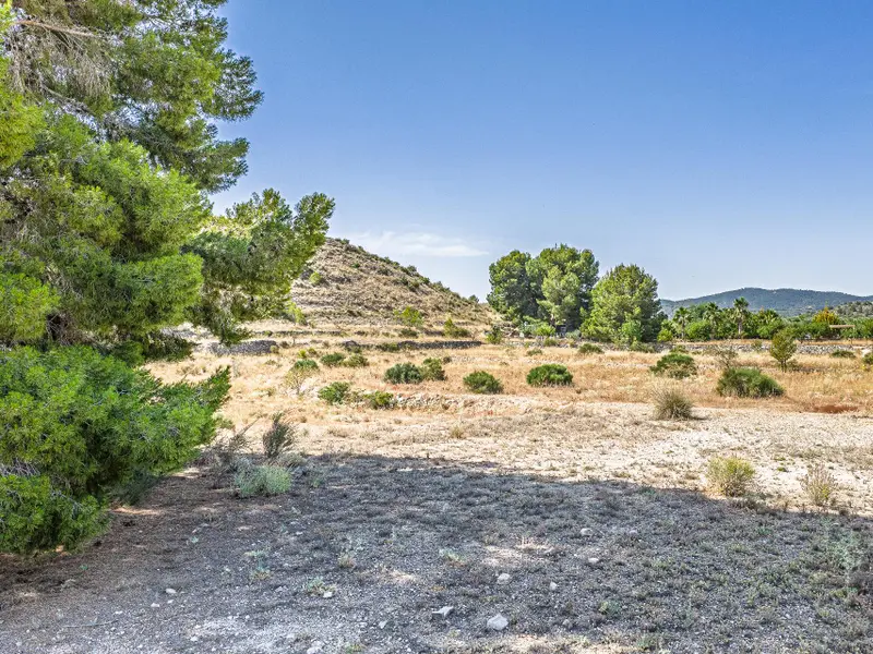 Участок en Monóvar, Costa Blanca — фото 14 из 15