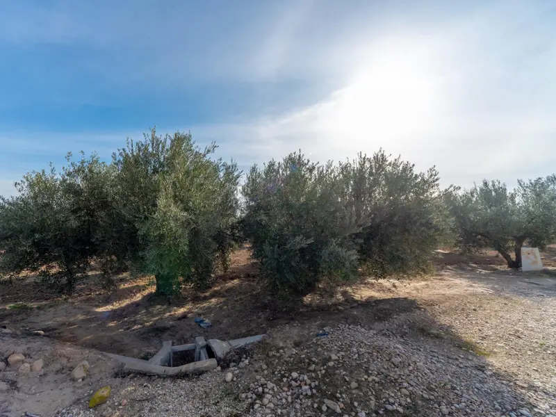 Landhaus in Crevillent, Costa Blanca — Foto 6 von 7