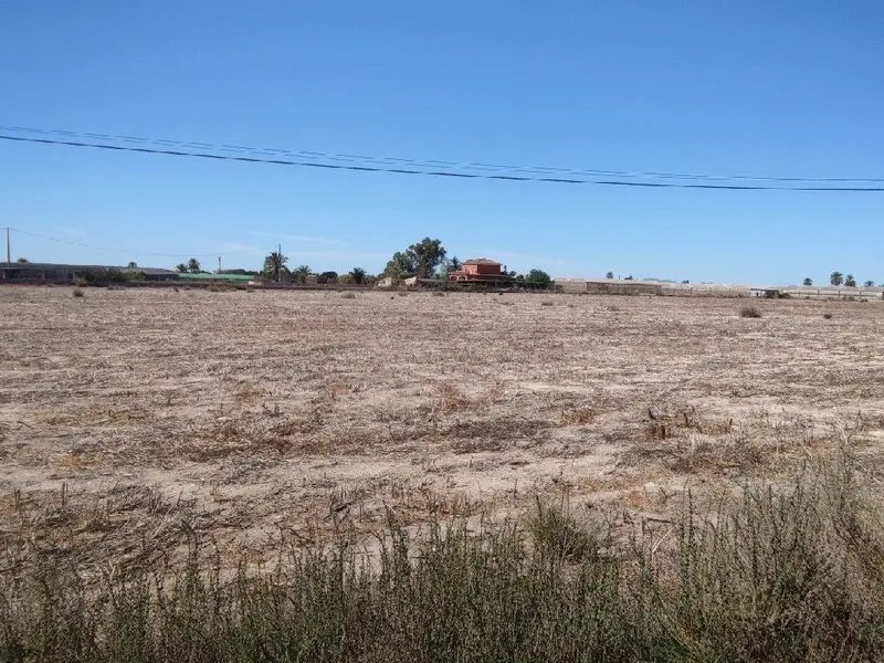 Terreno en Elche, Costa Blanca — foto 12 de 13