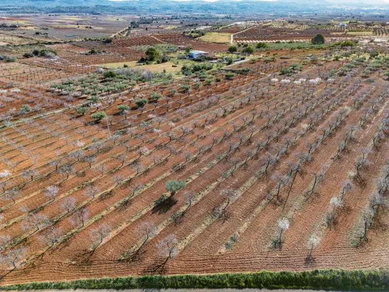 Участок en Desconocido, Costa Blanca — фото 9 из 16