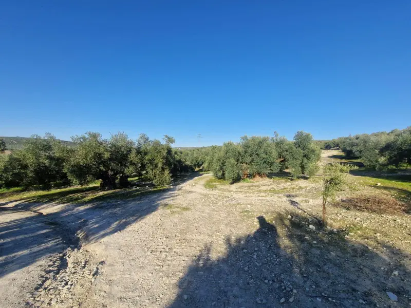 Загородный дом en Desconocido, Costa Blanca — фото 8 из 15