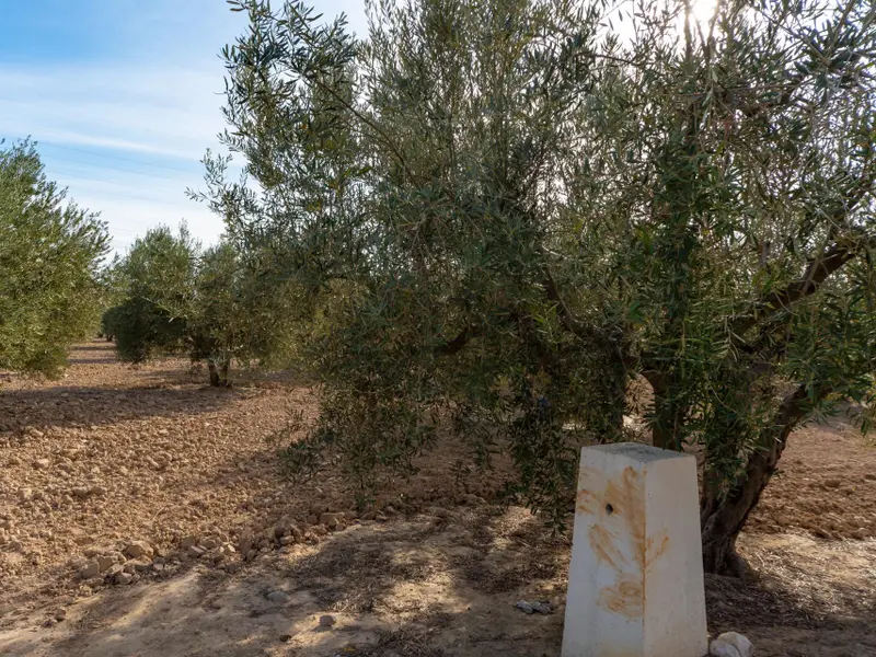 Landhaus in Crevillent, Costa Blanca — Foto 7 von 7