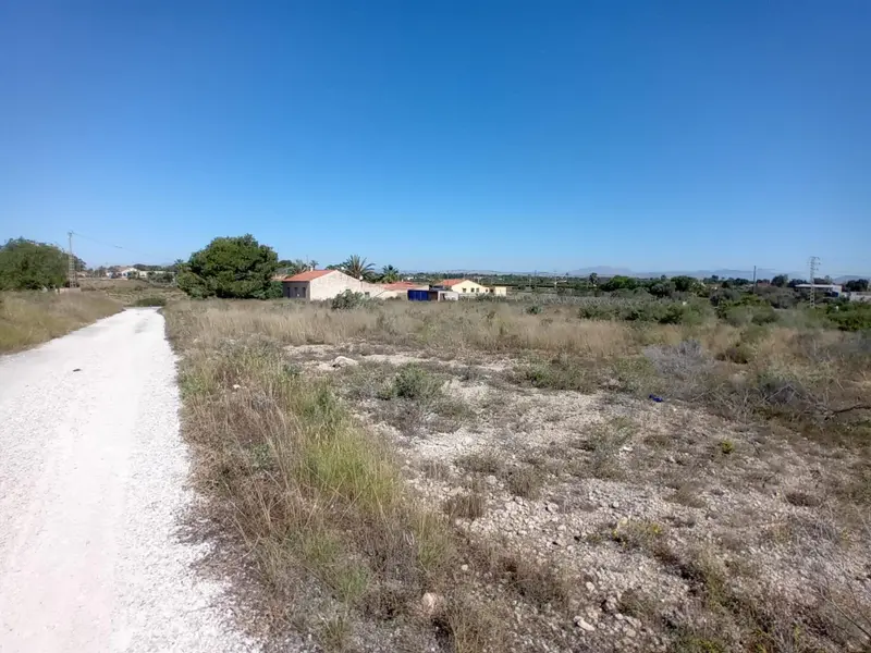 Landhuis in Elche, Costa Blanca — foto 10 van 10