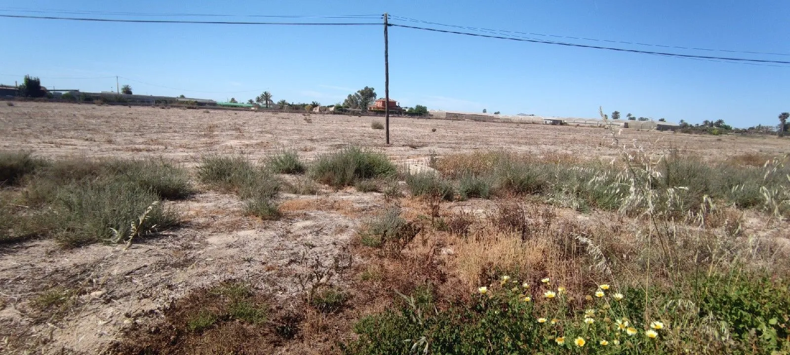 Terreno en Elche, Costa Blanca — foto 1 de 13
