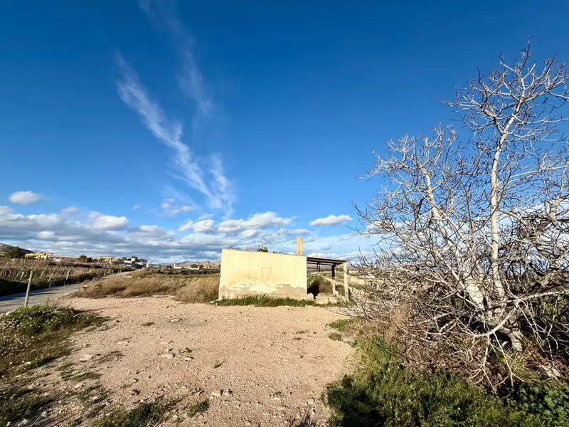 Landhuis in Novelda, Costa Blanca — foto 7 van 8