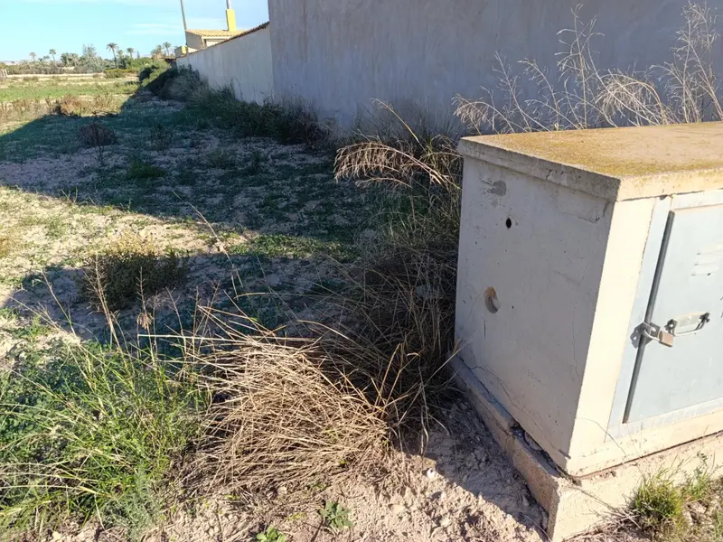 Landhuis in Elche, Costa Blanca — foto 4 van 6