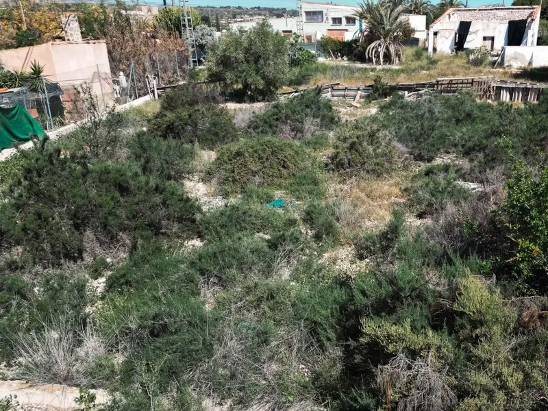 Заміський будинок у Elche, Коста-Бланка — фото 2 з 5
