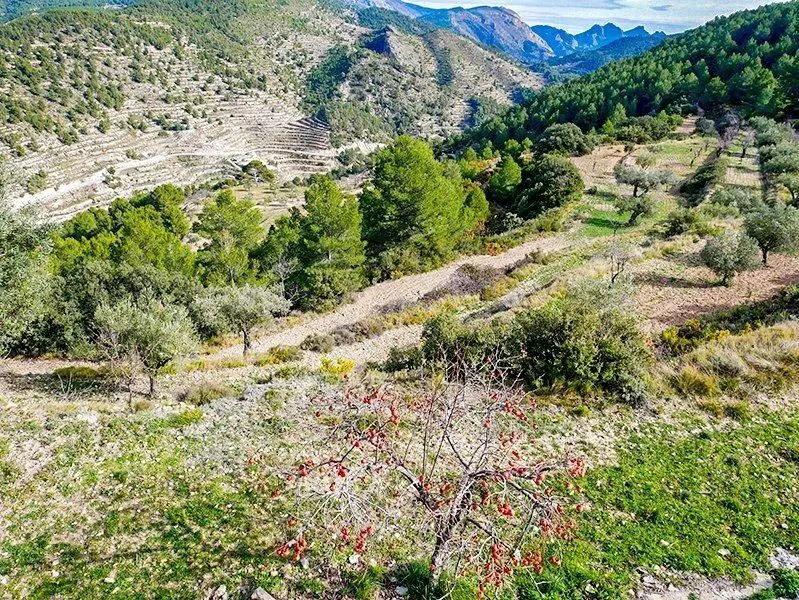 Villa de 5 dormitorios en Relleu, Costa Blanca — foto 28 de 30