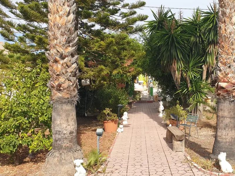 Villa de 3 dormitorios en Elche, Costa Blanca — foto 13 de 27