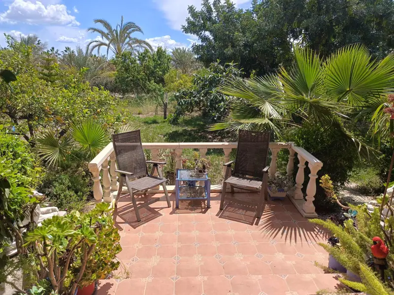 Landhuis met 5 slaapkamers in Elche, Costa Blanca — foto 6 van 8