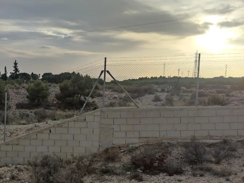 Land in Elche, Costa Blanca — photo 8 of 14