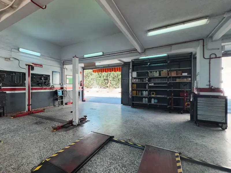 Local comercial en Benidorm, Costa Blanca — foto 12 de 27