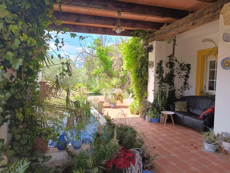 Загородный дом de 5 dormitorios en Elche, Costa Blanca — фото 3 из 30