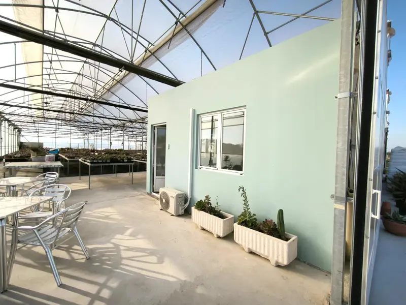 Landhuis in Elche, Costa Blanca — foto 4 van 30