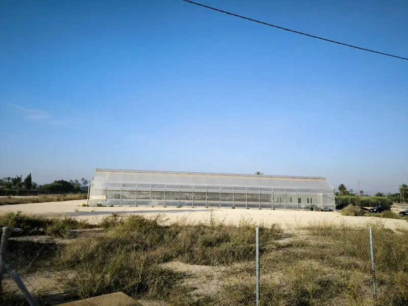 Landhuis in Elche, Costa Blanca — foto 30 van 30