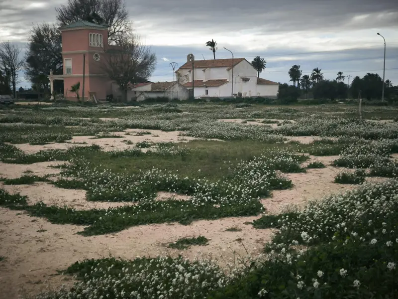 Maison de campagne à Elche, Costa Blanca — photo 4 sur 19