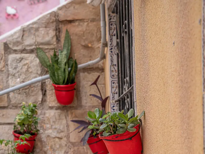 Апартаменти з 1 спальнями у Alicante, Коста-Бланка — фото 16 з 16