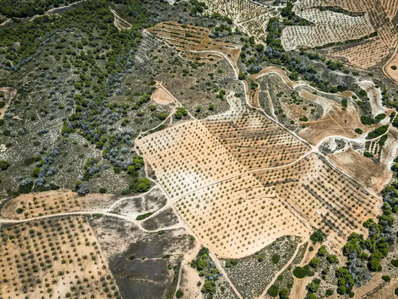 Maison de campagne à Desconocido, Costa Blanca — photo 4 sur 6