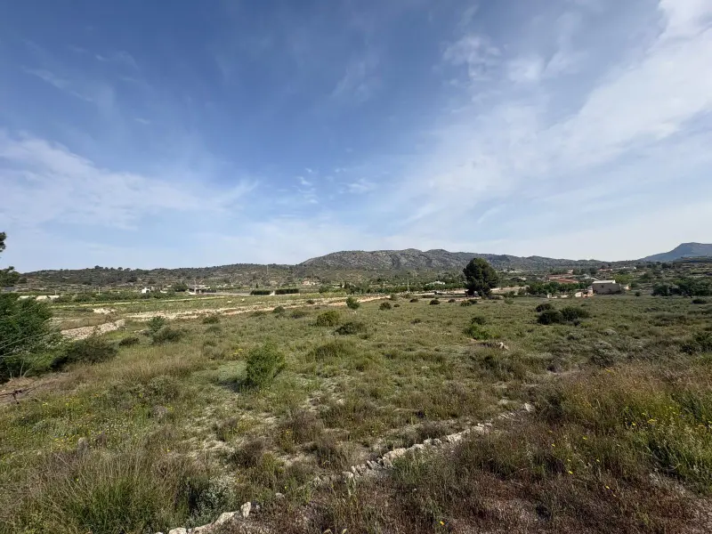 Terreno en Monóvar, Costa Blanca — foto 2 de 4